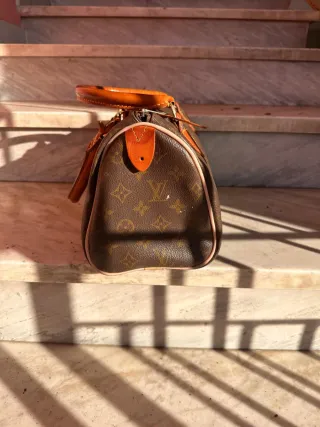 Borsa Louis Vuitton Speedy marrone