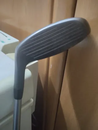 Híbrido ping anser 23 grados