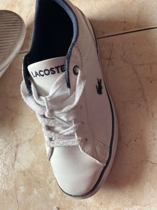 Zapatillas para niño o niña marca Lacoste y Levis