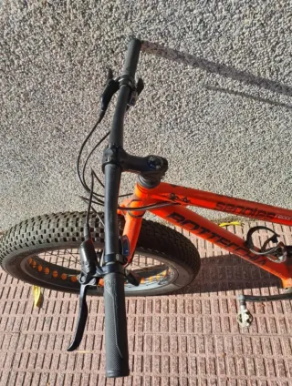 Bicicleta Fat Bike 29