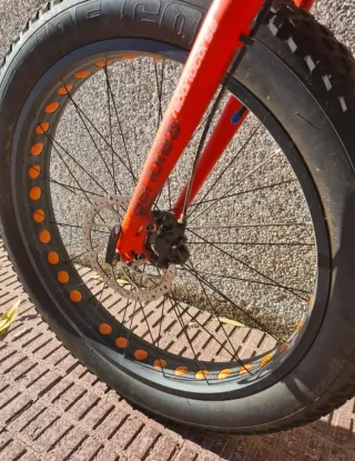 Bicicleta Fat Bike 29