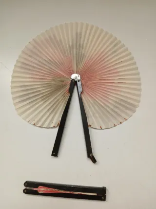 Coppia ventagli decorati fiori