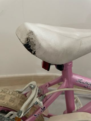 Bicicleta niña Fantasy con ruedines