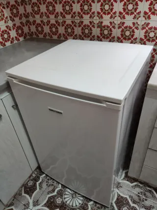 Nevera bajo encimera Waltham