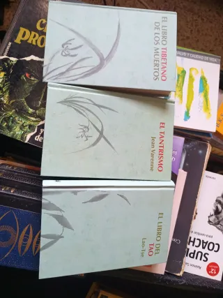 Libro sobre temas espirituales lote