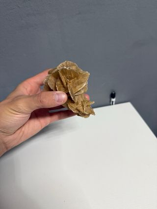 Lotto minerali e fossili