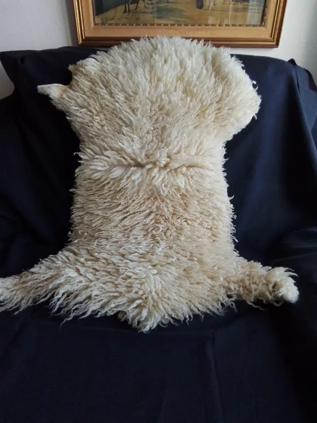 Tapete de lã de ovelha bege