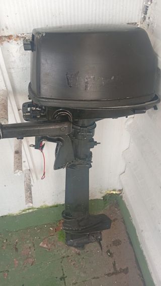 Motor fueraborda mercury 6 CV