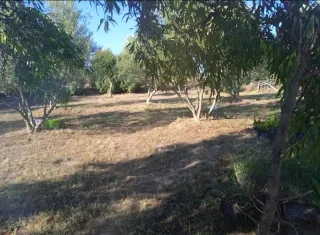 Parcela con casa rustica