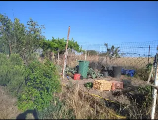 Parcela con casa rustica