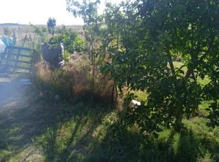 Parcela con casa rustica