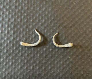 Confrontation Cavalcatore di Brontops