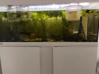 Acuario 250L con mueble y filtro