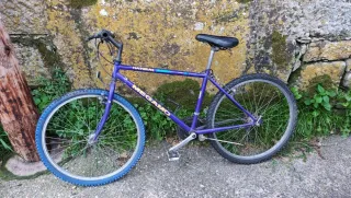 Bicicleta de Montaña Morada