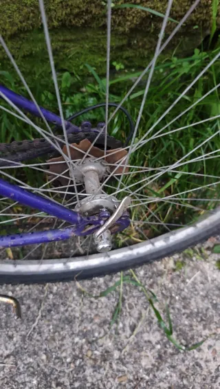 Bicicleta de Montaña Morada