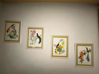 Conjunto de 4 acuarelas de pájaros