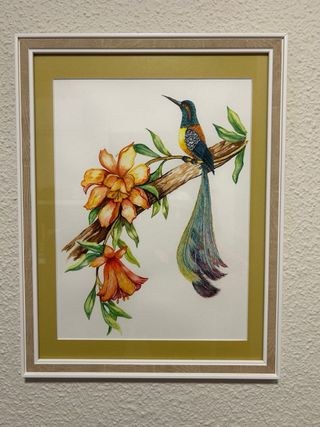 Conjunto de 4 acuarelas de pájaros