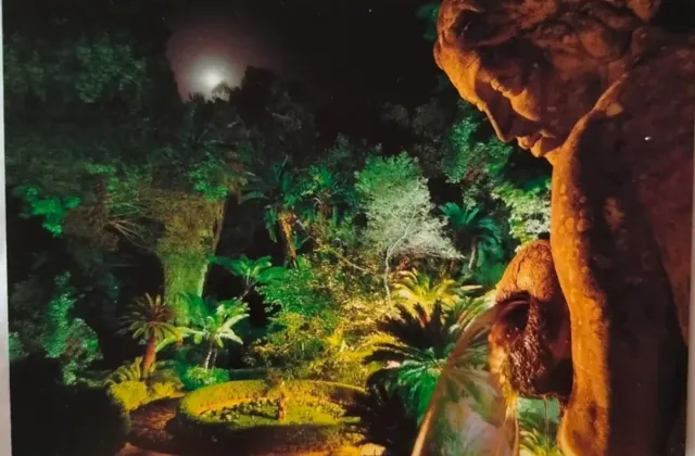 Postales de caligrafía islámica y más