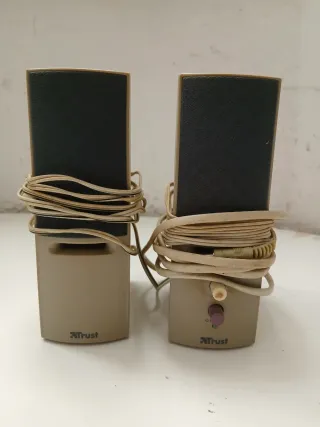 Coppia altoparlanti PC Trust