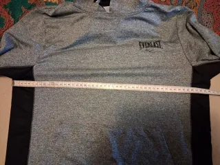 Felpa con cappuccio Everlast grigia