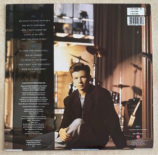 RICK ASTLEY VINILO LP HOLD ME 1988 INSERT