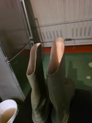 Botas de agua antideslizante y seguridad Dunlop