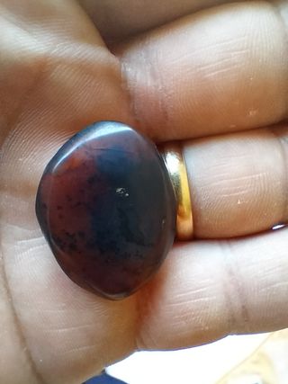 Ámbar birmano fósil Cretácico 99 Ma