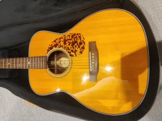 Guitarra Blueridge BR 163