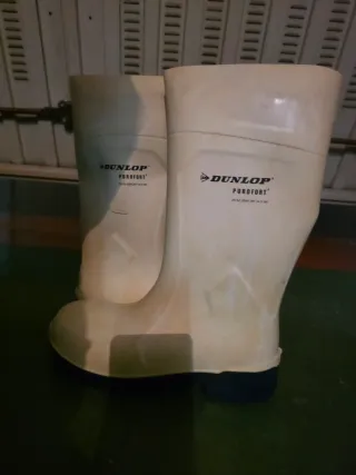 Botas de agua y seguridad Dunlop