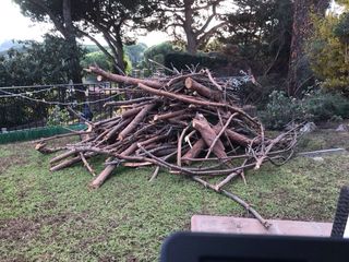 Leña de pino gratis - Recogida local Llavaneres