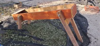 Ablentadora de Aceitunas