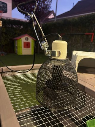 Terrario Grande Reptiles y Tortugas