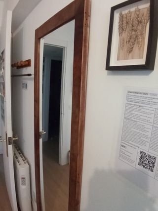ESPEJO ANTIGUO EN MADERA DE PUERTA ARMARIO RETRO