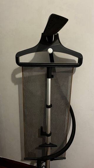 Plancha Vapor Vertical Rowenta Pro Style