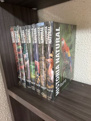 historia natural de flora, fauna y geología.