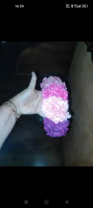 Clavari rosa e viola flamenco