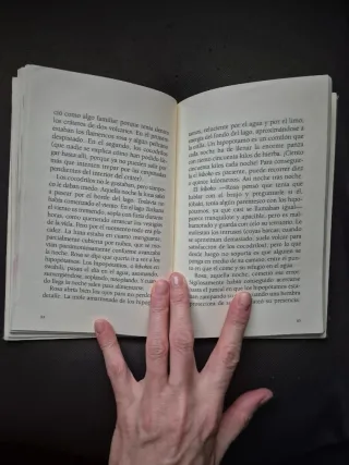 La rosa del Kilimanjaro (Ala Delta Serie Azul) ...