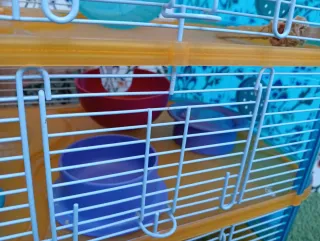 Jaula Hámster 3 Pisos Gran Canaria