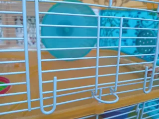 Jaula Hámster 3 Pisos Gran Canaria