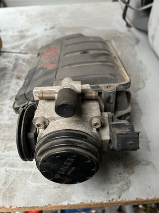 Colector Admisión Saxo 16v + Mariposa Clio