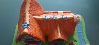 Casa Polly Pocket Blancanieves y 7 Enanitos