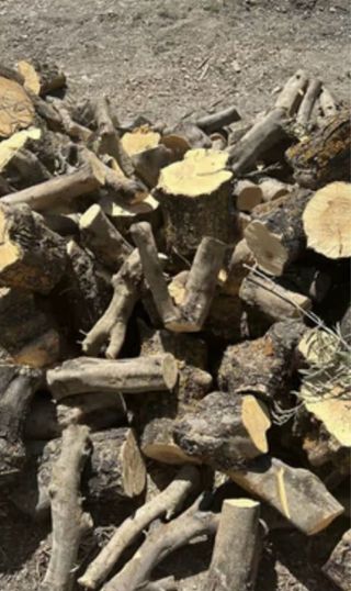 Palos de leña para chimenea o barbacoa