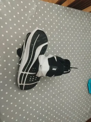 Zapatillas Nike Pegasus 38.5