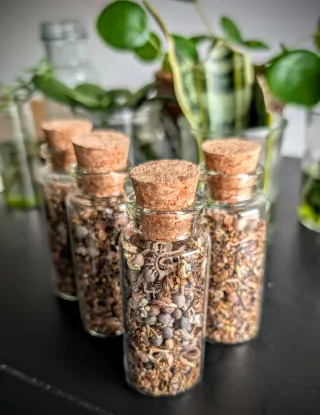 Semillas Flores Autóctonas Mediterráneas, 20gr