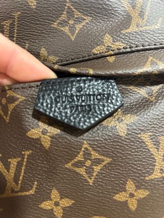 Mochila Palm Spring Louis Vuitton Monogram Marrón