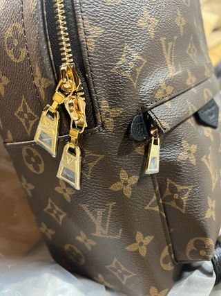 Mochila Palm Spring Louis Vuitton Monogram Marrón