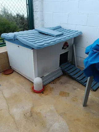 Terrario exterio para tortugas