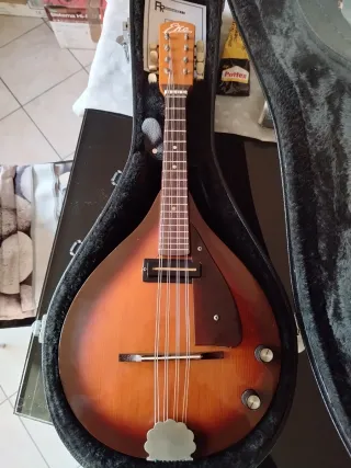 Mandolino Eko MD2 Elektra 1968 Amplificato