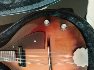 Mandolino Eko MD2 Elektra 1968 Amplificato