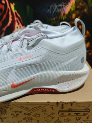 Nike Pegasus Trail 5 Gore-Tex Gris/Rosa